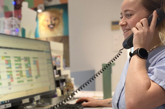 LT-Accueil-conseils Accueil et conseils, services vétérinaires, contact clinique vétérinaire toulouse