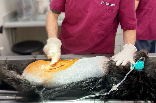 Chirurgie-Anesthésie et hospitalisation