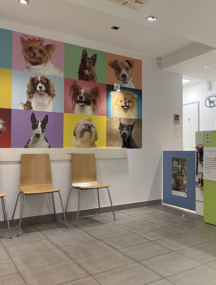 Accueil clinique La Terrasse