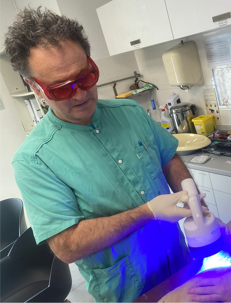 Intervention vétérinaire Laser thérapeutique