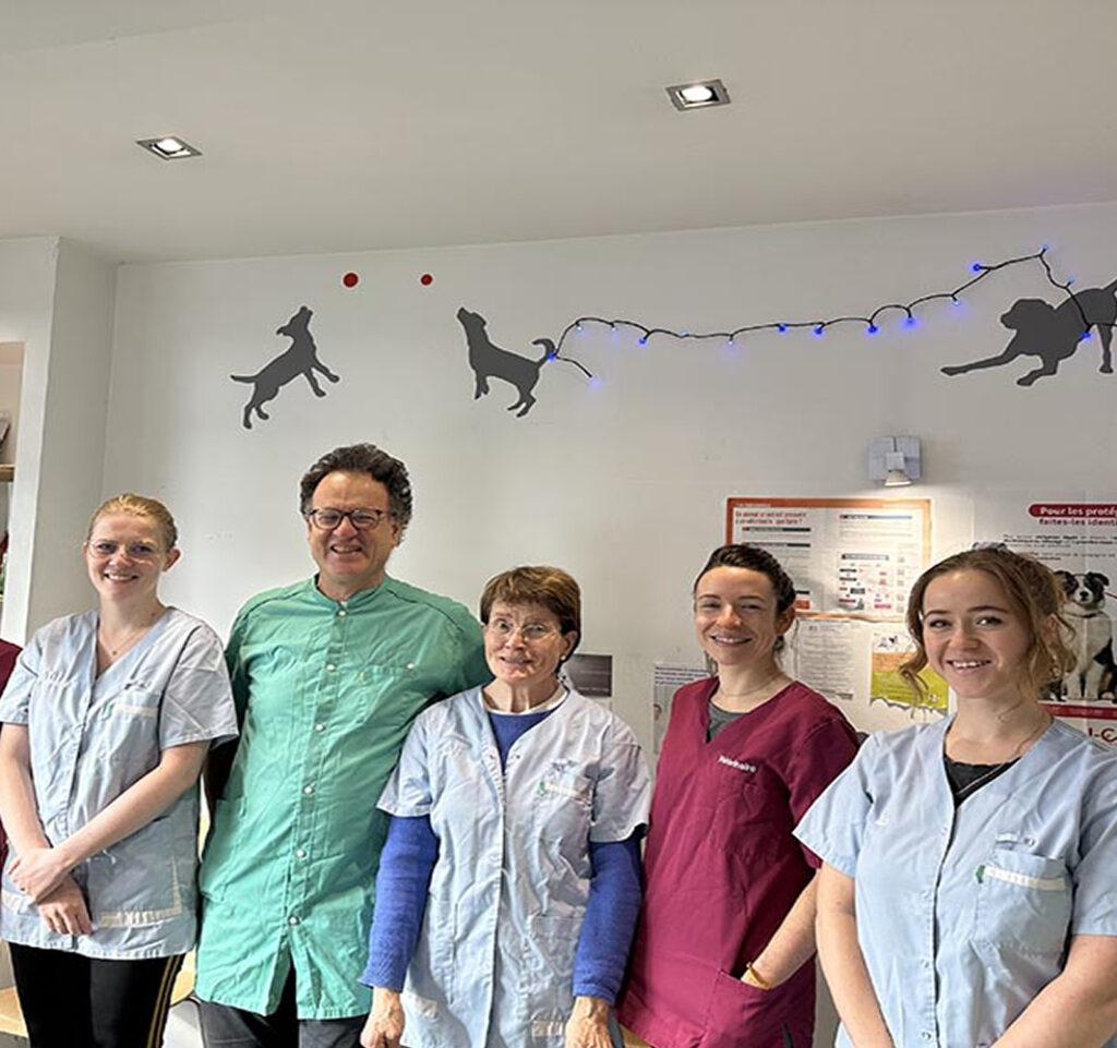 équipe veterinaire toulouse la terrasse